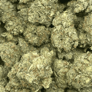 ISLAND ROCKSTAR (MEGA GAS) - Image 2