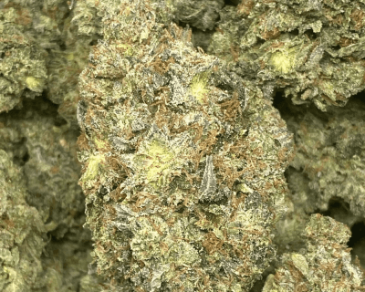 ISLAND ROCKSTAR (MEGA GAS) - Image 1