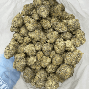 CAKE MINTZ (PACIFIC BUD BOYS SALE) - Image 3