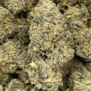 Kush Mintz