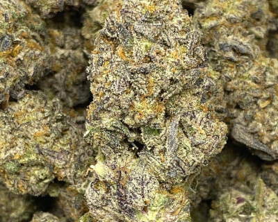Kush Mintz
