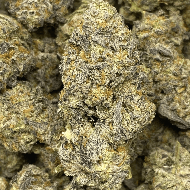 Kush Mintz Kush Mintz