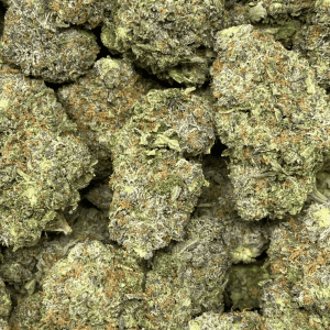 PINK 808 (MEGA GAS) - Image 2