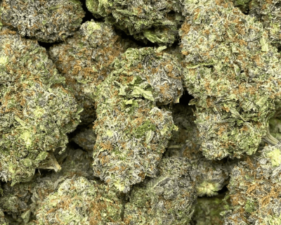 PINK 808 (MEGA GAS) - Image 2