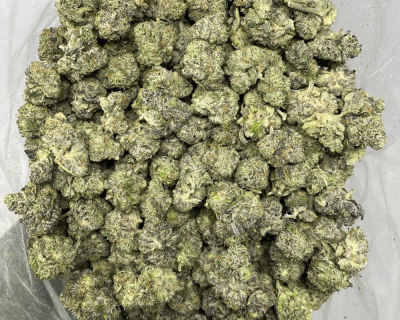 PINK DANKNESS smalls (GAS) - Image 3