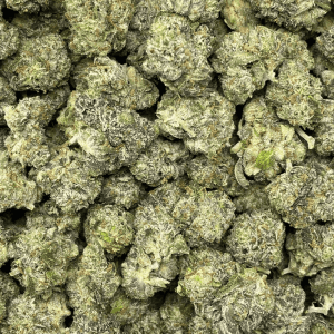 PINK DANKNESS smalls (GAS) - Image 2