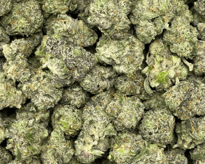 PINK DANKNESS smalls (GAS) - Image 2