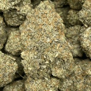 PINK GRATITUDE (MEGA GAS) - Image 1