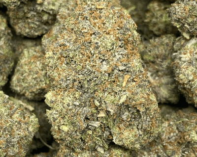 PINK GRATITUDE (MEGA GAS) - Image 1