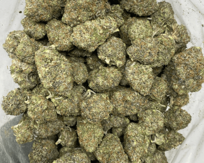 PINK GRATITUDE (MEGA GAS) - Image 3