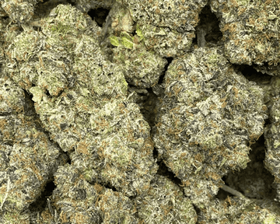 PINK HIGH RISE (MEGA GAS) - Image 2