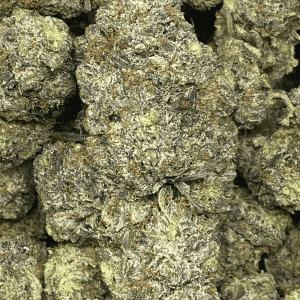 PINK KING KONG (MEGA GAS) - Image 2