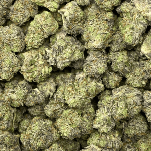 PINK BAKERZ (GAS) - Image 2