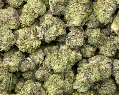 PINK BAKERZ (GAS) - Image 2