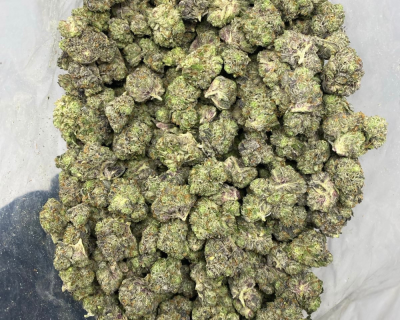 PINK BAKERZ (GAS) - Image 3