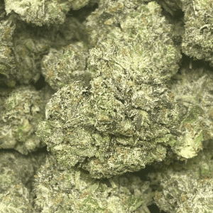 PINK GORILLA (GAS) - Image 1