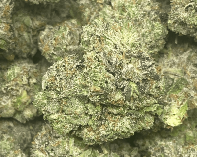 PINK GORILLA (GAS) - Image 1