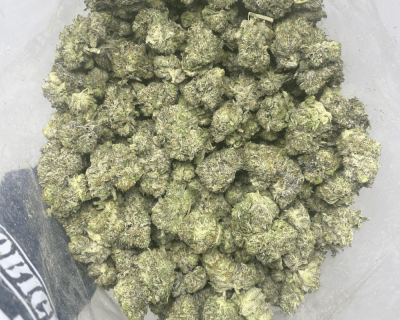 PINK GORILLA (GAS) - Image 3
