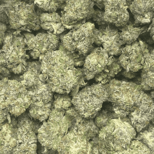 PINK GORILLA (GAS) - Image 2