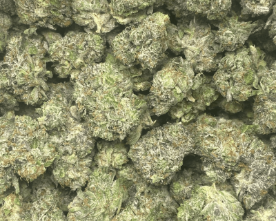 PINK GORILLA (GAS) - Image 2