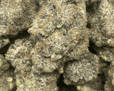 PINK JESUS (MEGA GAS) - Image 1