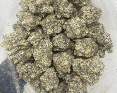 PINK JESUS (MEGA GAS) - Image 3