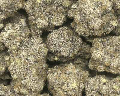 PINK JESUS (MEGA GAS) - Image 2