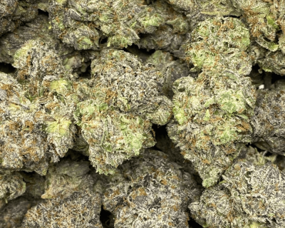 PINK MORPHINE (MEGA GAS DEAL) - Image 2