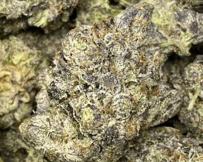PINK MORPHINE