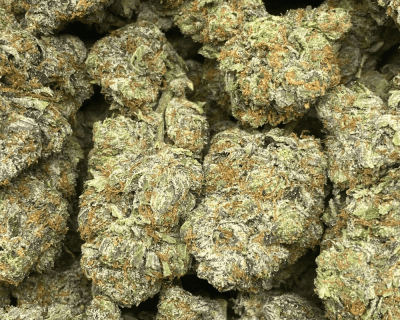 PINK UZI VERT (MEGA GAS) - Image 2