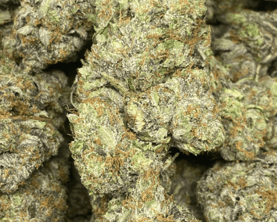 PINK UZI VERT (MEGA GAS) - Image 1