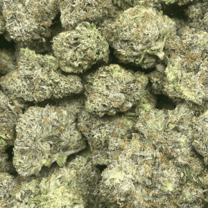 PINK OVERLORD (MEGA GAS) - Image 2