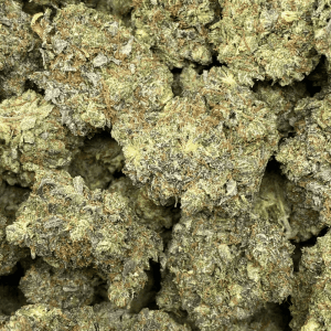 PINK STICKY (MEGA GAS) - Image 2