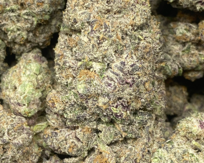 PURPLE SPACE COOKIES (EXOTIC) - Image 1