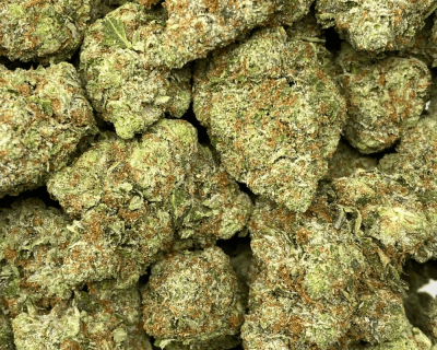 ROCK BUBBA (GAS) - Image 2