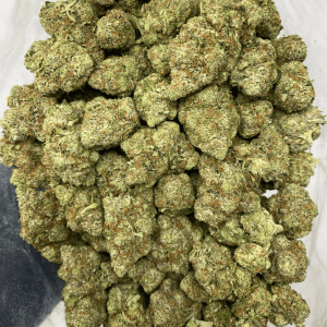ROCK BUBBA (GAS) - Image 3