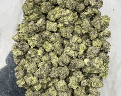 ROCKSTAR (SMALLS) - Image 3