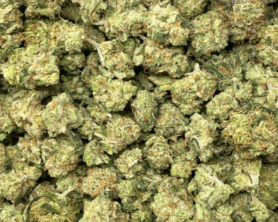 SUPER SILVER HAZE (EXOTIC) - Image 2