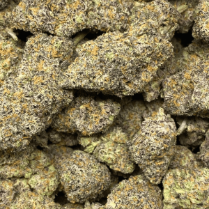 ZERBERT LSO (EXOTIC DEAL) - Image 2