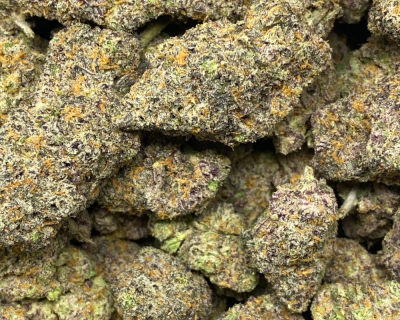 ZERBERT LSO (EXOTIC DEAL) - Image 2
