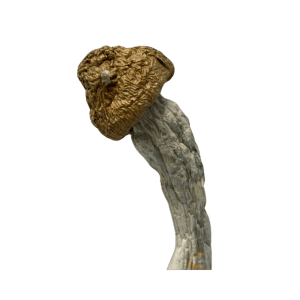 CODE BLUE - PSILOCYBIN MUSHROOMS - Image 2