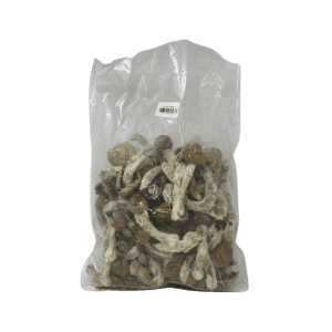 CODE BLUE - PSILOCYBIN MUSHROOMS - Image 4