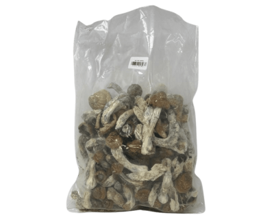 CODE BLUE - PSILOCYBIN MUSHROOMS - Image 4