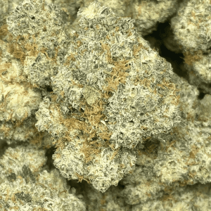 DONKEY BUTTER (EXOTIC) - Image 1