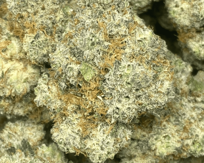 DONKEY BUTTER (EXOTIC) - Image 1