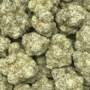 DONKEY BUTTER (EXOTIC) - Image 2