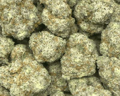 DONKEY BUTTER (EXOTIC) - Image 2