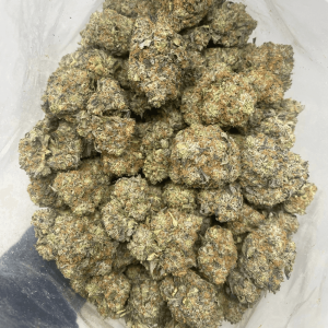 EDMONTON OIL (MEGA GAS) - Image 3