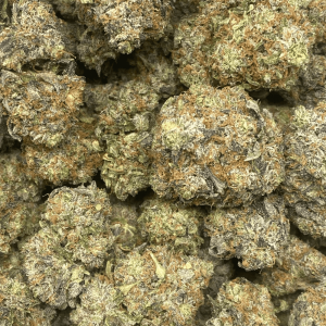 EDMONTON OIL (MEGA GAS) - Image 2