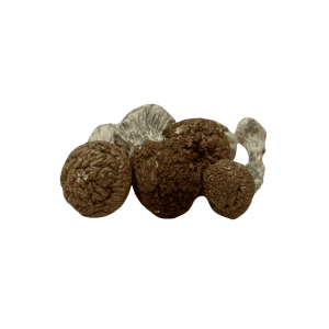 JEDI MIND FUCK - PSILOCYBIN MUSHROOMS - Image 3